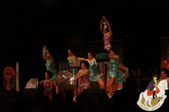 bdm2011_007