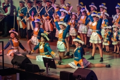 2020-01-14_Narrengipfel_020